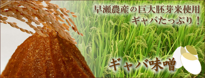 早瀬農産の巨大胚芽米使用　ギャバたっぷり！　ギャバ味噌