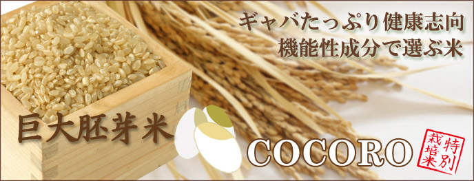 ギャバたっぷり健康志向、機能性成分で選ぶ米　巨大胚芽米COCORO