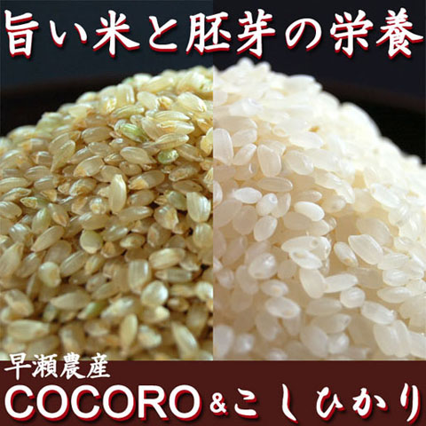 旨い米と胚芽の栄養
